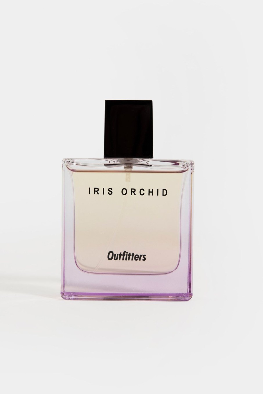 Hot Iris Orchid Fragrances